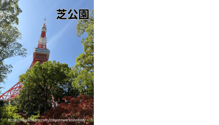 芝公園からみた東京タワー